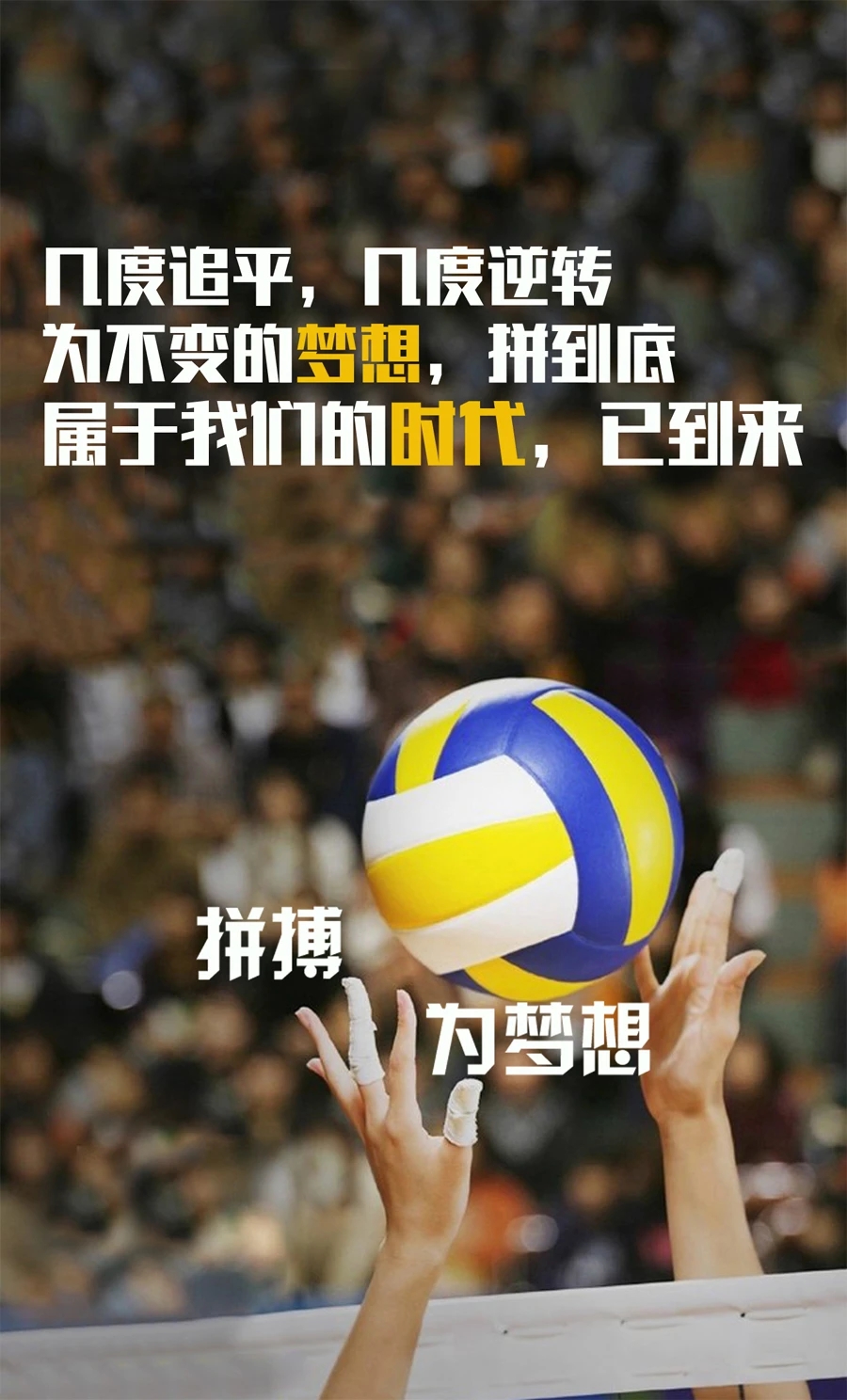 冠军之路漫漫，巅峰属于奋斗者