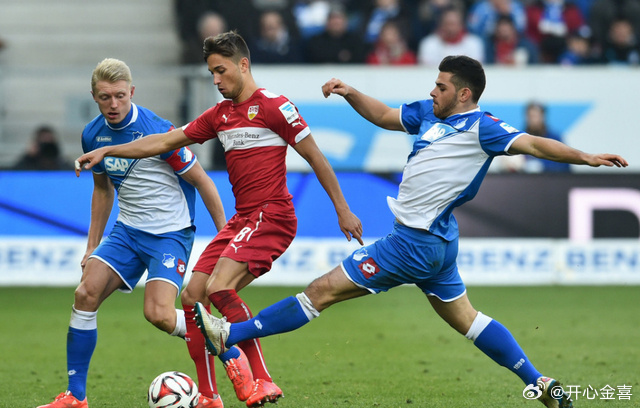 霍芬海姆再临失利,保级形势日益严峻 霍芬海姆再临失利,保级形势日益严峻