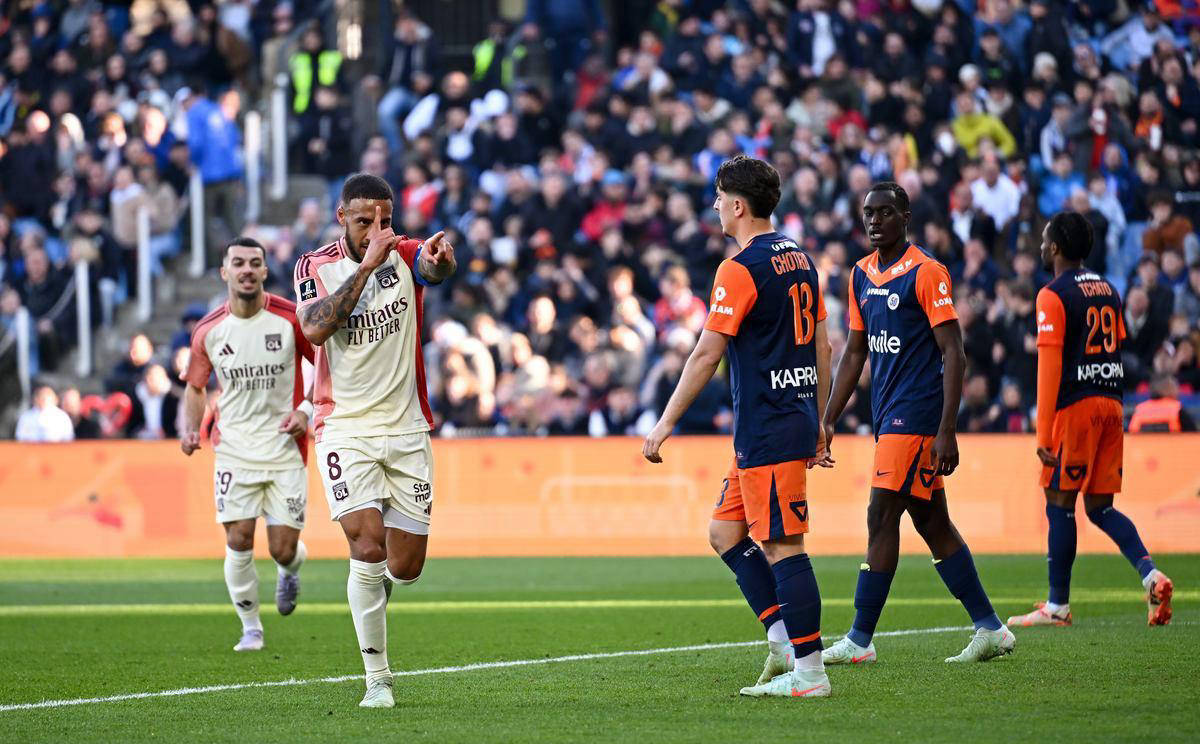 雄狮队擒狼获胜，继续扩大战绩优势