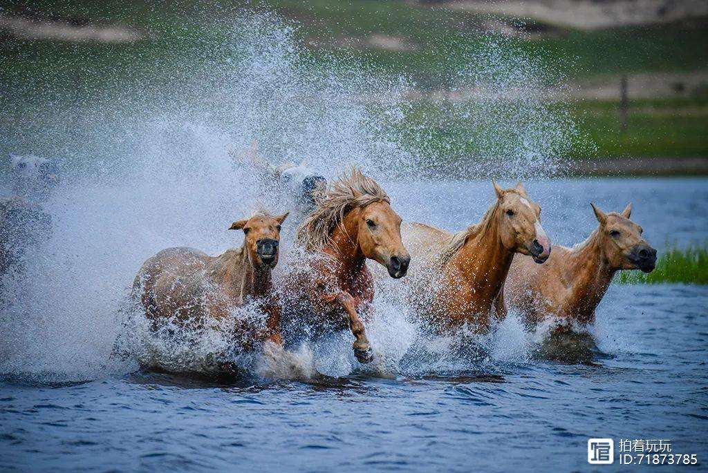 激情绽放!东亚足球顶级赛事激战呼之欲出 激情绽放!东亚足球顶级赛事激战呼之欲出